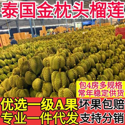 泰国金枕头干尧猫山王长柄榴莲