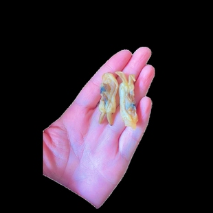 大蛏子干130g/ 罐*3干货淡晒竹节蛏海圣子海鲜特产海产品