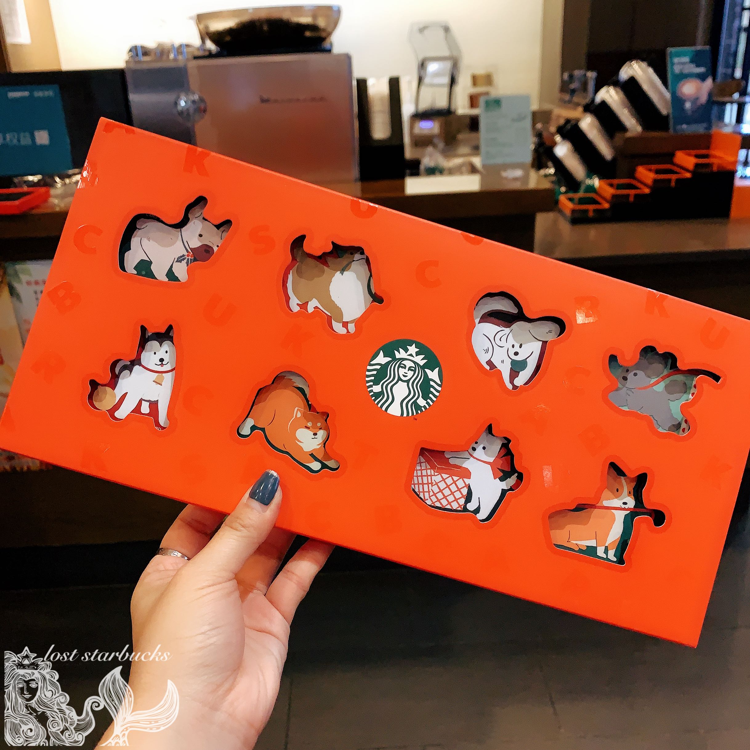 星巴克汪汪萌队星礼卡套装 空卡里面没钱可以注册充值 卡片