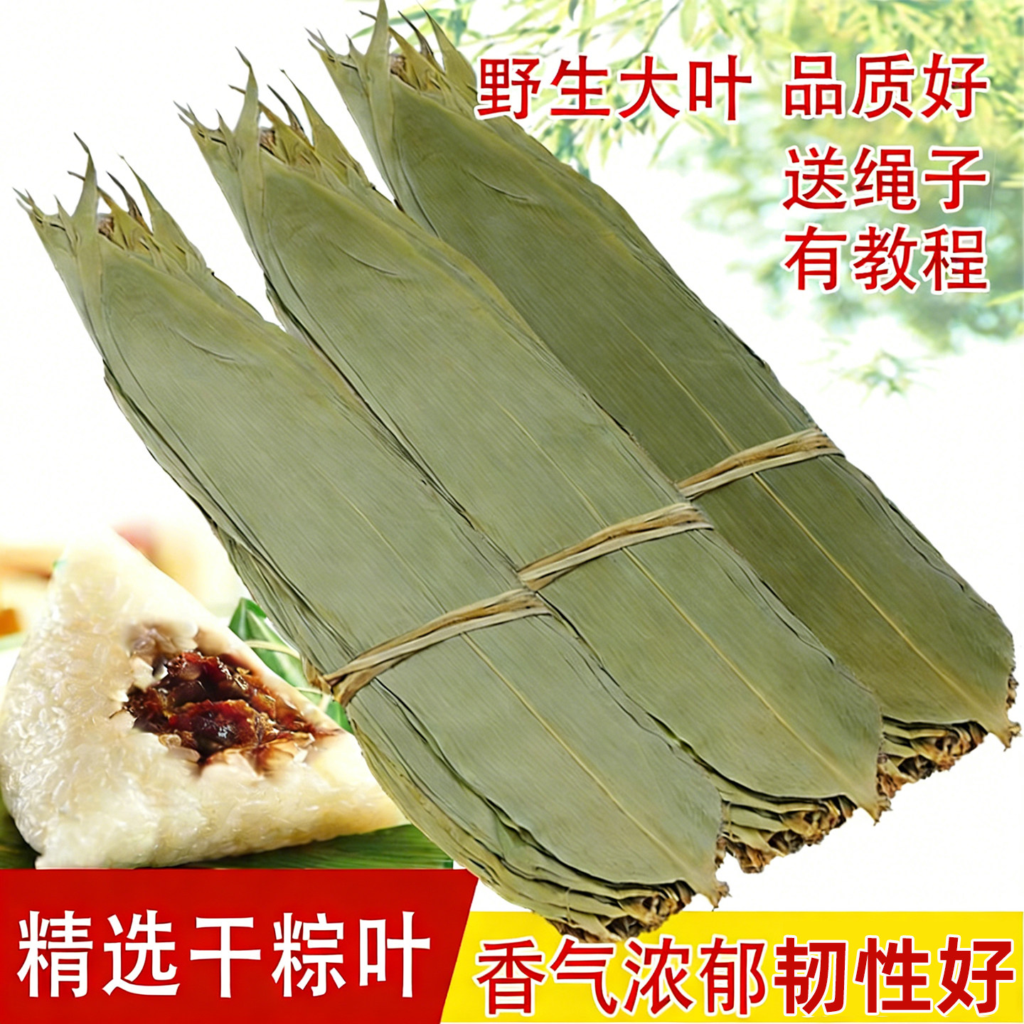 新鲜粽叶大号烘干广西大粽叶竹子叶特大野生粽子叶大棕叶精选箬叶