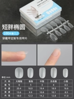 Короткий толстый овал-L