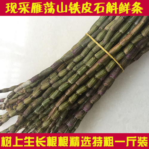 雁荡山树上生长铁皮石斛鲜条石斛500克四年霍山正宗枫斗非霍山 - 封面