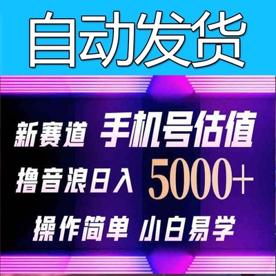 抖音不出境直播【手机号估值】撸音浪，日入5000+