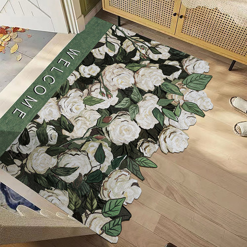 防滑进门地垫乐缘家用