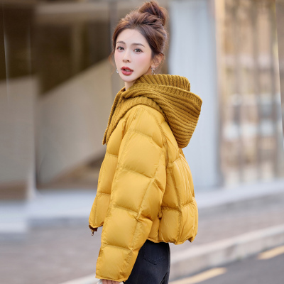 流行针织连帽保暖羽绒服女
