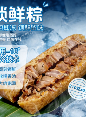 丁莲芳速冻锁鲜肉粽端午节送礼