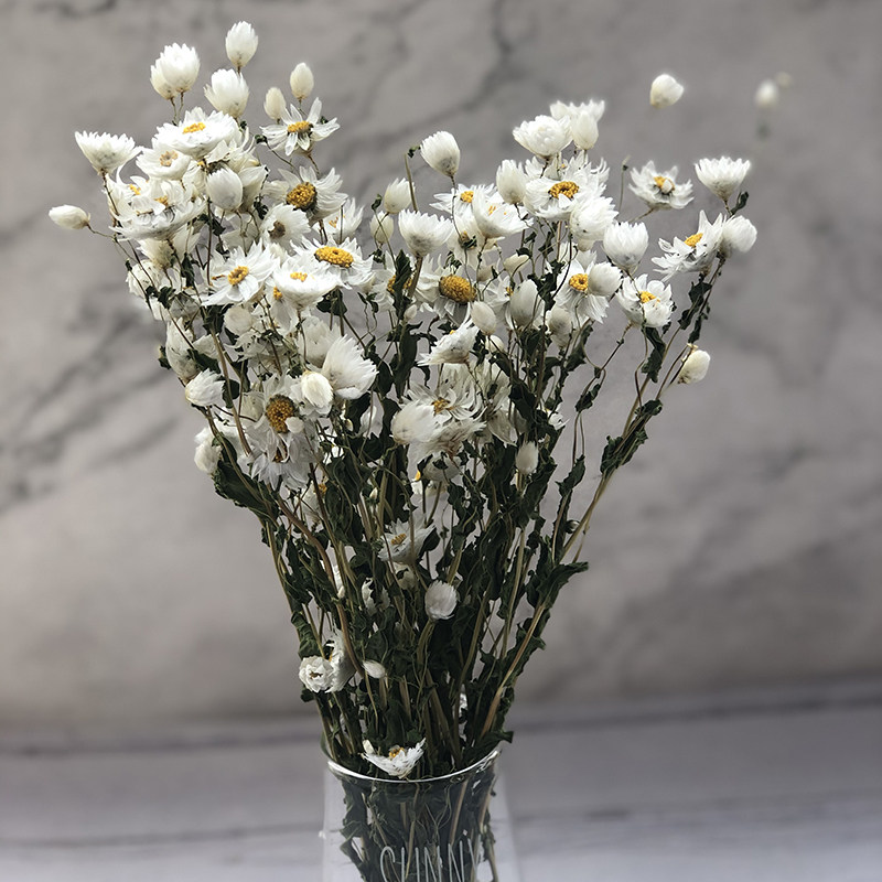 干花罗丹斯小蜡菊花束插花文艺小清新网红永生花客厅家居装饰