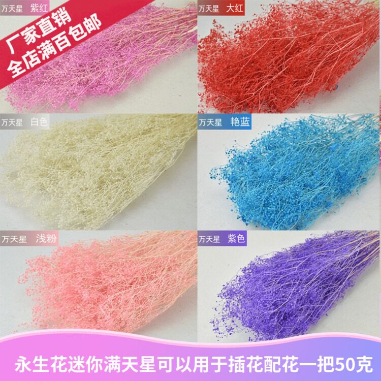 永生花diy材料包银色满天星干永生花