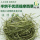2023年新草提摩西干草半烘干优质头茬龙猫豚鼠宠物兔饲料干草饲料