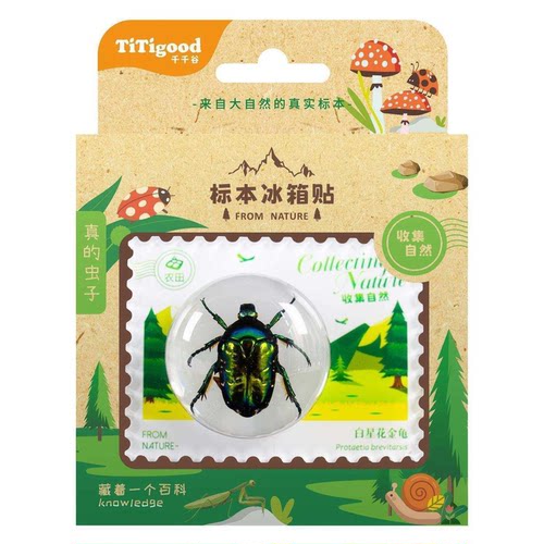 TiTigood千千谷标本昆虫儿童认知玩具5-9岁冰箱贴自然探索益智