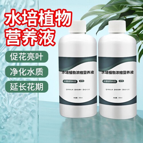 莲睡莲观音竹郁金香铜钱草通用