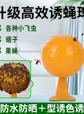 果蝇诱捕器小飞虫灭杀神器