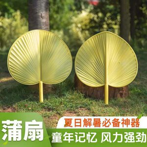 扇子家用加厚耐用大蒲扇塑胶扇子夏日扇风扇子公园乘凉蒲扇结实