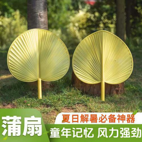 扇子家用加厚耐用大蒲扇塑胶扇子夏日扇风扇子公园乘凉蒲扇结实