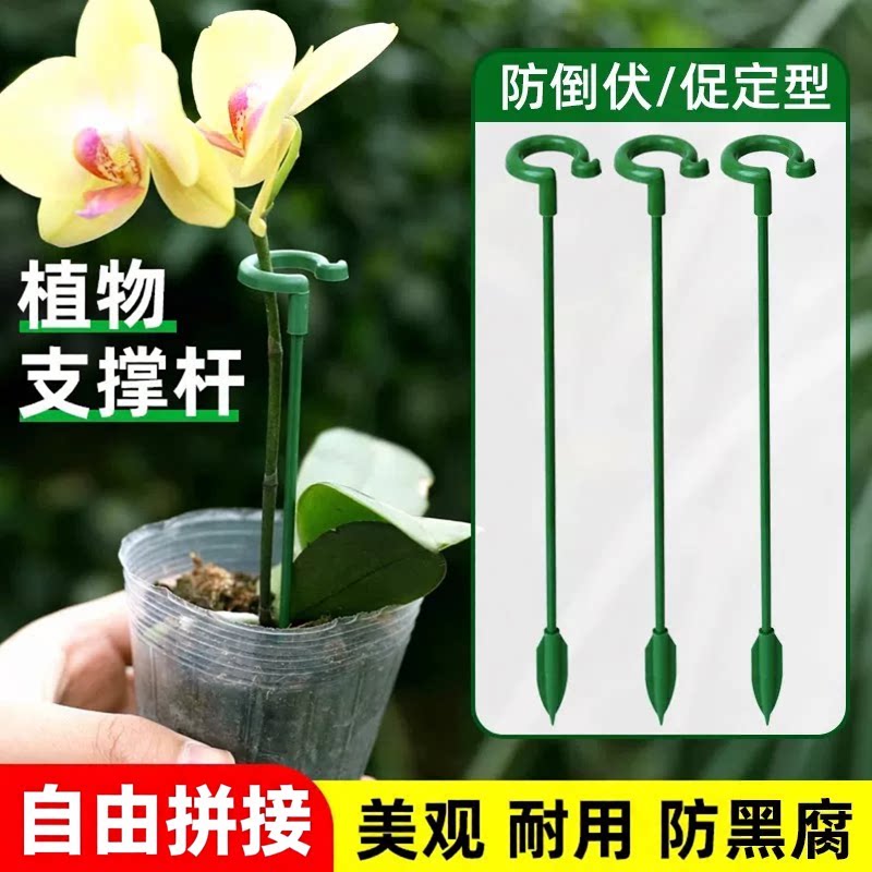 园艺支撑架花支架花卉扶正天堂鸟盆栽绿植物龟背竹吊兰固定防倒伏