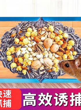 双引诱达豪超强粘鼠板