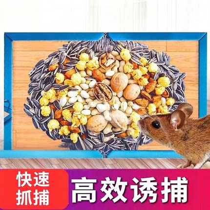 老鼠粘有效粘鼠板家用捕鼠适用黏鼠板有效胶粘鼠板捕鼠器