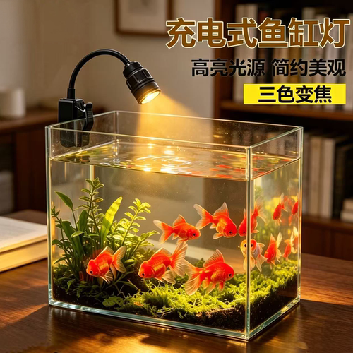 LED变焦鱼缸水草龟灯新品