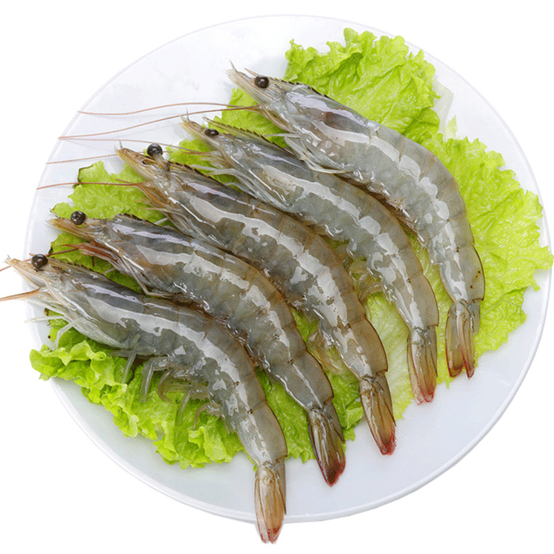新鲜大虾超大鲜活特大海虾白虾冷冻整箱海鲜水产年货特产非基围虾