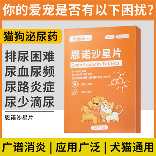宠物专用药猫咪狗狗产后消炎药尿道炎尿路感染恩诺沙星片子宫蓄脓