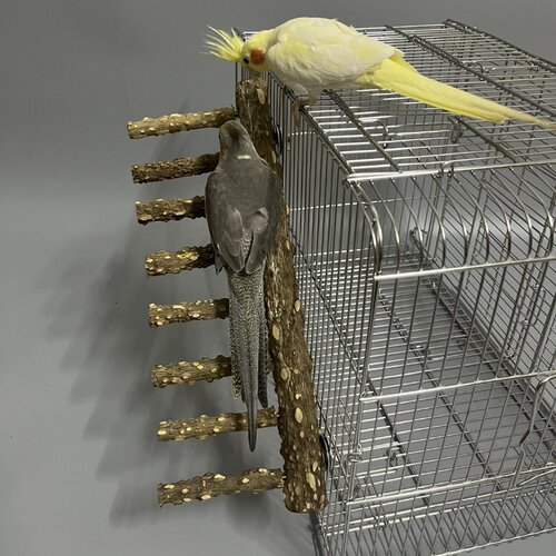 八哥虎皮鹦鹉花椒木天然鸟笼配件