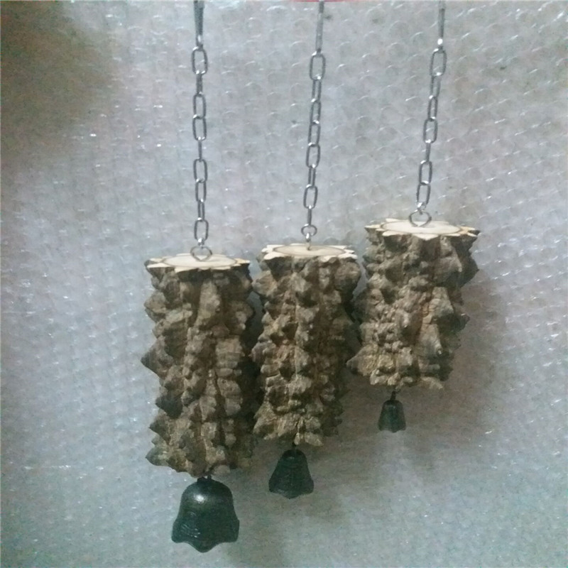 啃咬玩具鹦鹉玩具啃咬玩具带铃铛