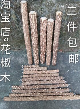 花椒木鹦鹉八哥站棍自然生长植物