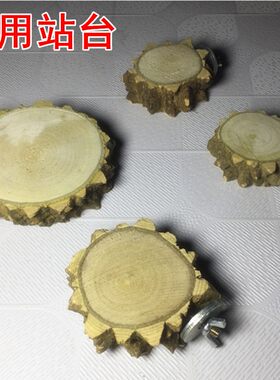 站台花椒木啃咬玩具鹦鹉鸟