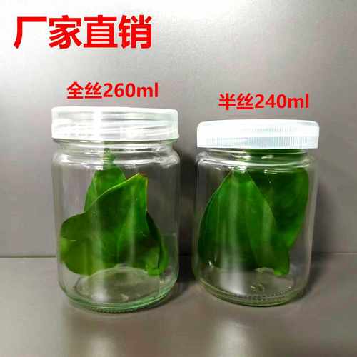 菌种瓶苗玻璃厂家直销田园