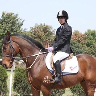 Article sports equestres - Ref 1378263 Image 1