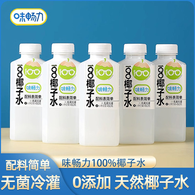 味畅力100%椰子水450ml*15瓶