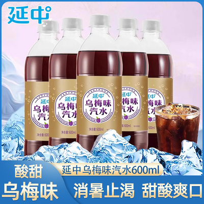 延中经典乌梅汽水600ml*20瓶/箱