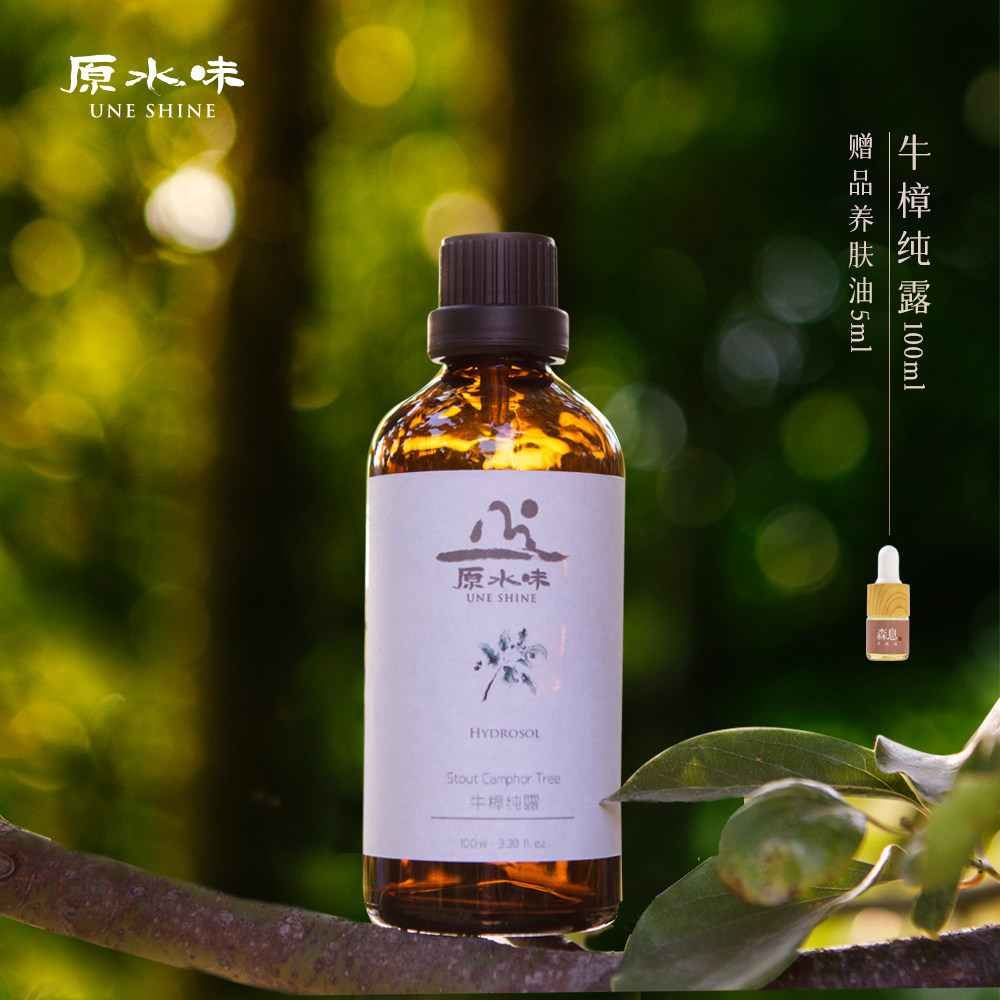 原水味牛樟纯露蒸馏原液保湿补水