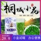 包邮 桐城小花散装 明前高山云雾嫩芽罐装 茶叶60克 春季 雨前绿茶袋装