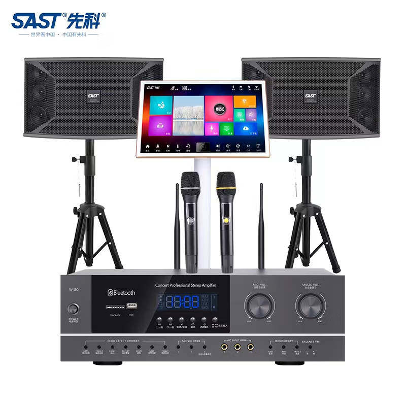 先科AV-312家庭影院KTV音响套装10英寸 会议室教室K歌音箱功放机