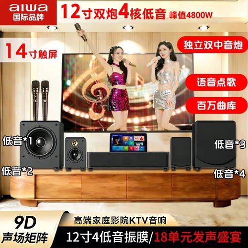 aiwa爱华WA777/666家庭影院KTV电视音响K歌点歌机 12寸低音炮音箱