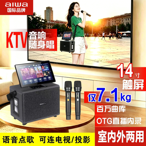 aiwa爱华AI160/670家庭KTV音响点歌机电视K歌 户外广场舞直播露营