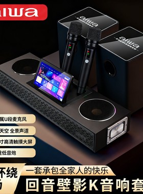 aiwa爱华WA111电视音响K歌家庭影院KTV低音炮 语音点歌机环绕音箱