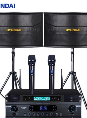 韩国现代HY-10ES会议室音响10英寸重低音音箱 家庭影院KTV功放机