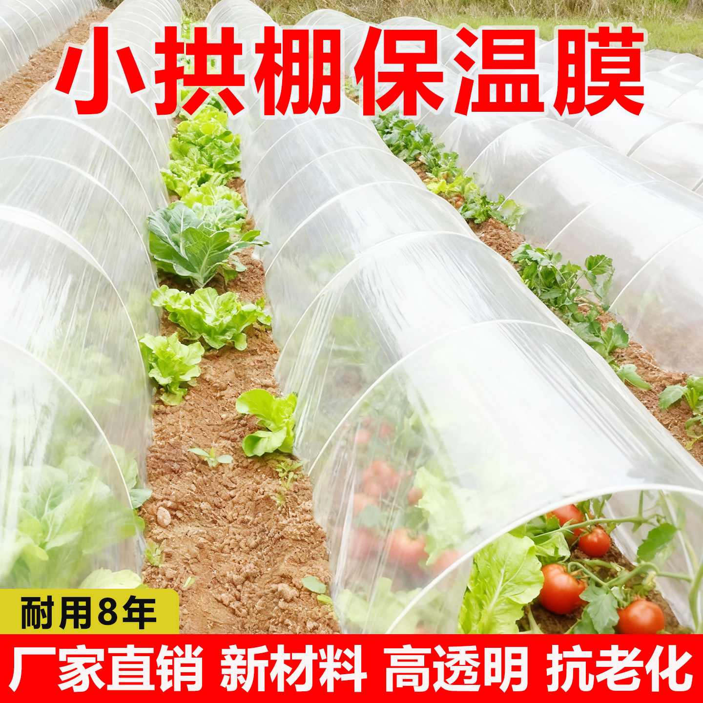 农用透明塑料薄膜种菜小拱棚膜保温保湿防霜冻育苗防寒遮盖膜防水