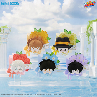 家庭教师花束的约定PATCH系毛绒徽章官方正版泽田纲吉六道骸胸针