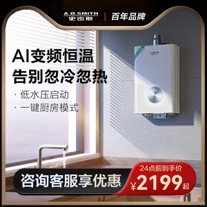 【热销】史密斯佳尼特13L家用燃气热水器恒温天然气16升TC1官方