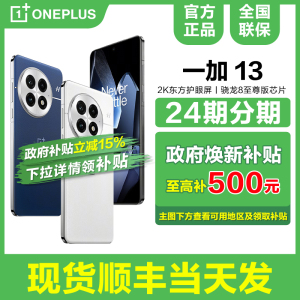 【政府补贴至高500元】OnePlus/一加 13 手机新品游戏5G学生智能竞速官方旗舰正品新款一加ace5pro十三1+3V