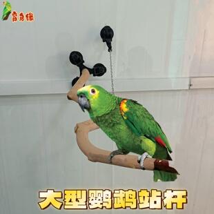 大型鹦鹉玻璃吸盘站杆强力吸盘训练站棍灰机折衷金刚鹦鹉树枝站架