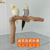 鹦鹉简单架站棍笼顶玩耍互动站杆笼底站架桌面站杆多场景实木站架