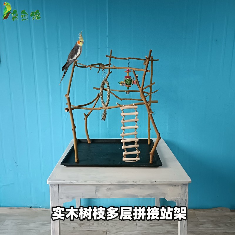 育鸟缘实木树枝鹦鹉站架拼接鸟架