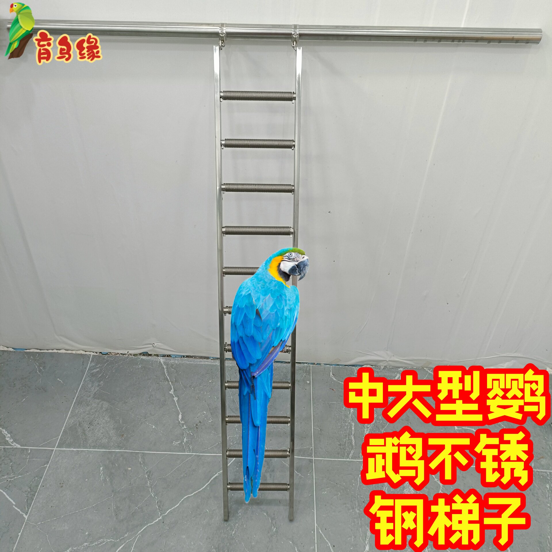 中大型鹦鹉不锈钢爬梯梯子楼梯金刚灰机葵花金太阳折衷咬不烂玩具
