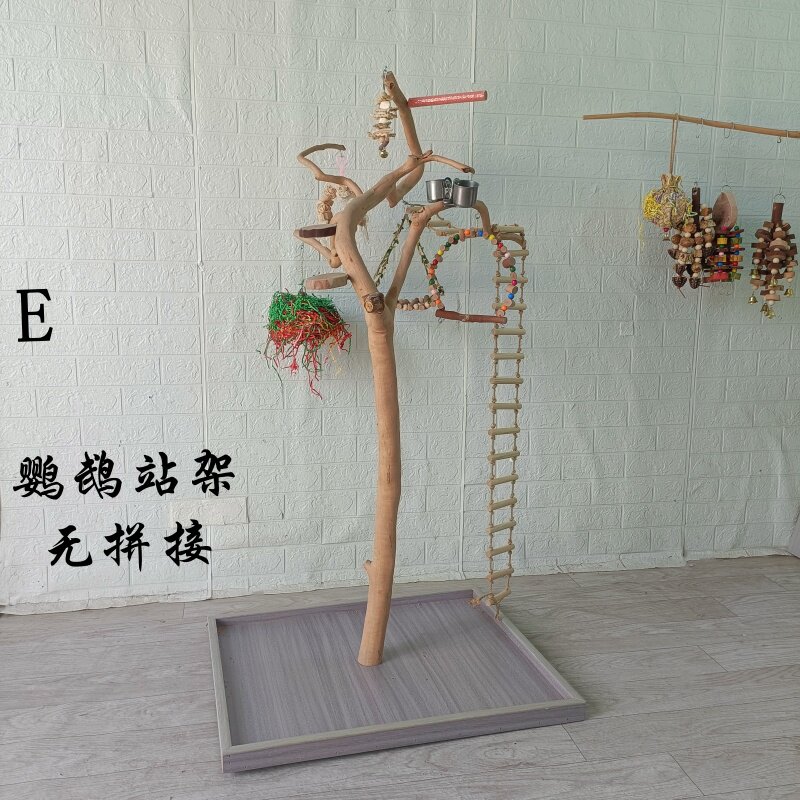 站棍树枝鹦鹉育鸟缘定点训练鹦鹉