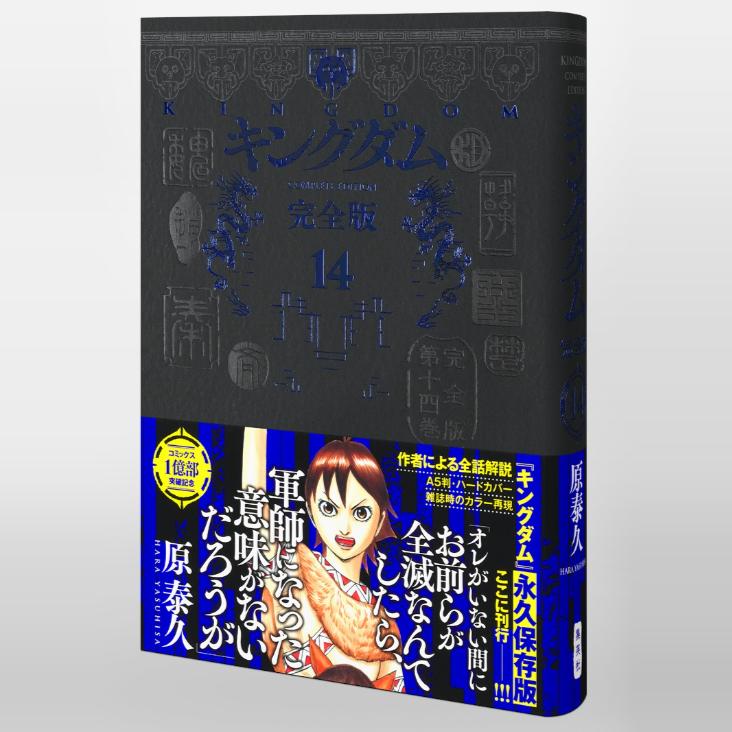王者天下キングダム完全版14