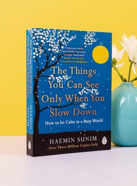 预售 英文原版 The Things You Can See Only When You Slow Down 只有当你慢下来时你才能看到的东西
